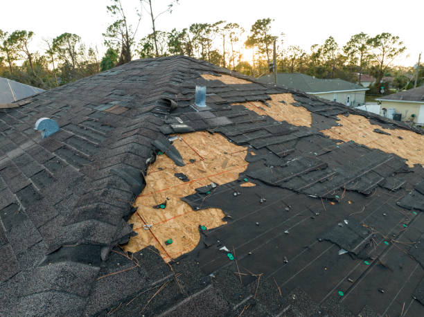 Best Roof Moss and Algae Removal  in Phoenixville, PA